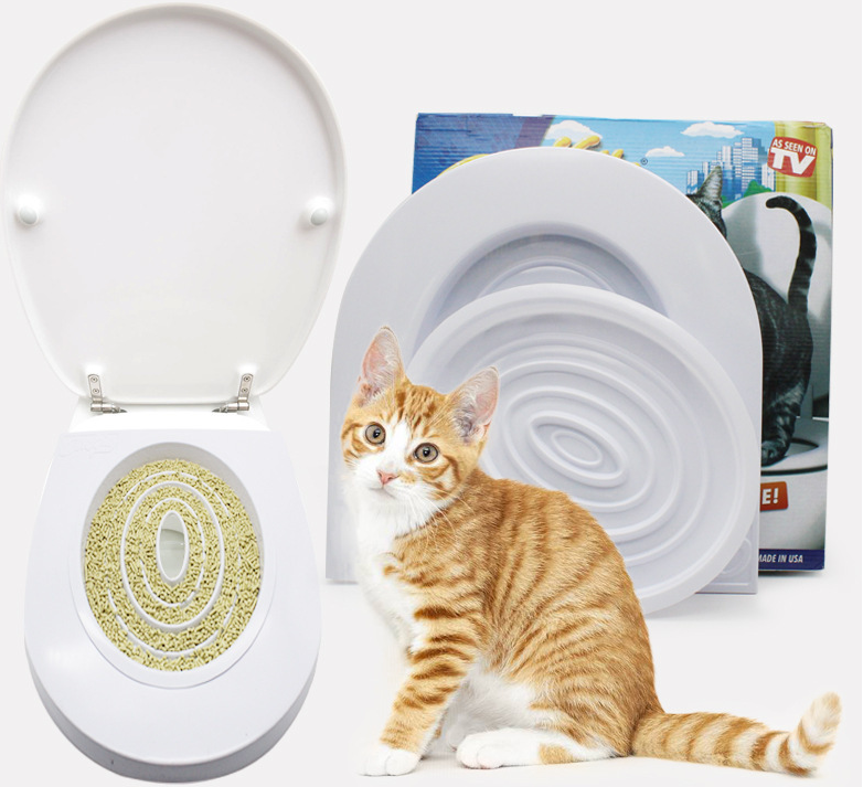Cat Using Toilet