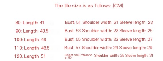 Plush and thick warm clothes for boys ins (one set)