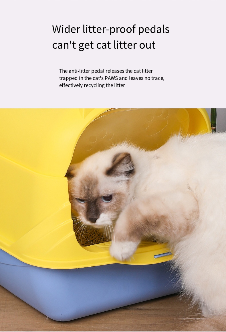 Oversized Cat Toilet 3
