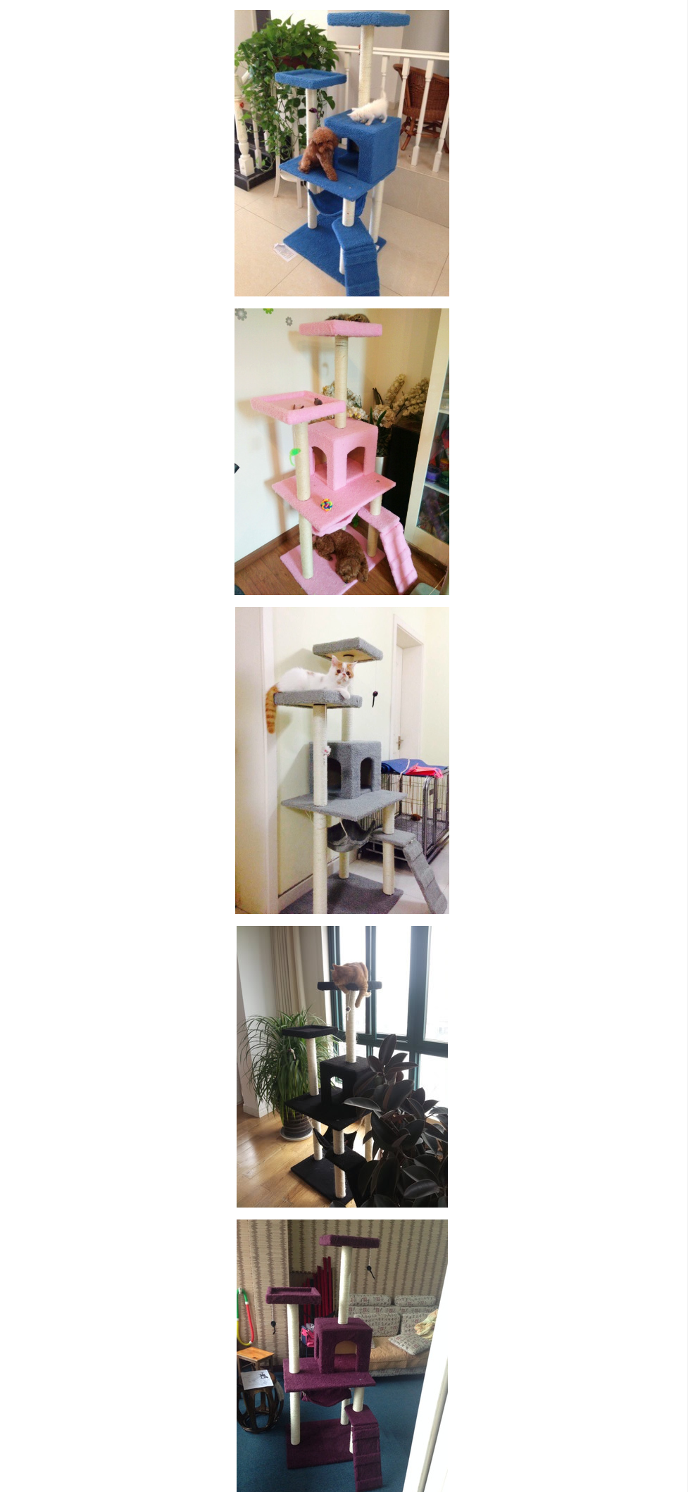 Cat Climbing Frame Image 2