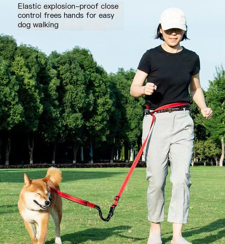 Dog Leash Colors