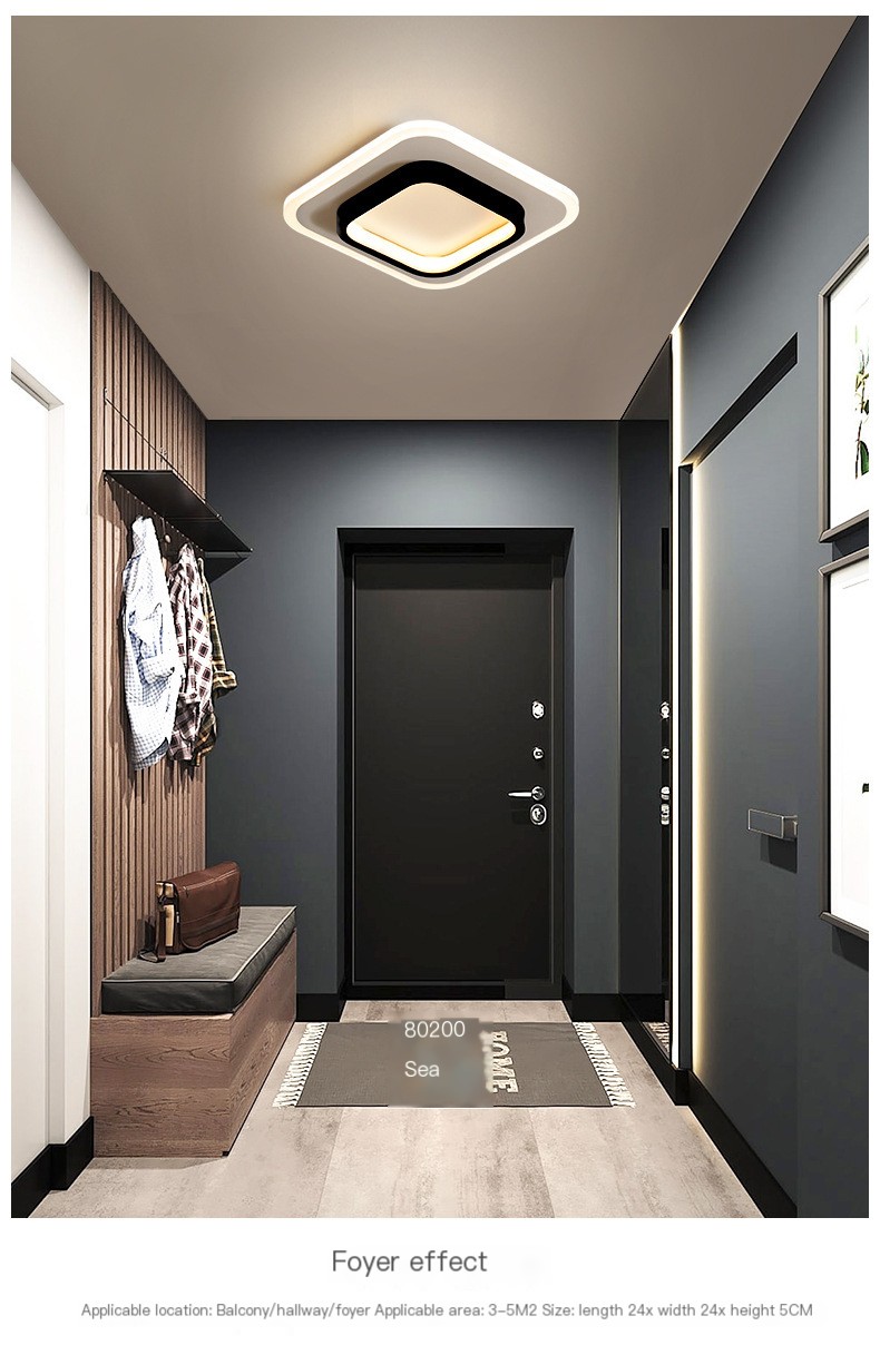 BARBEAM Modern Entrance Light 1