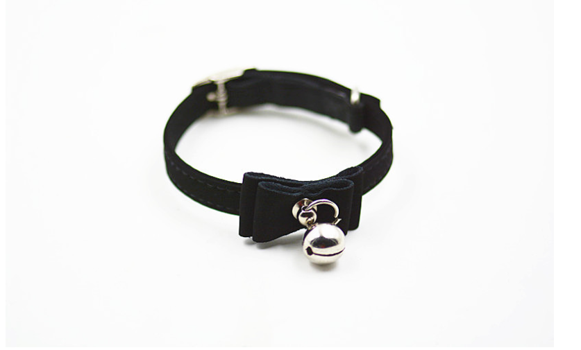 Pet Collar in Different Colors