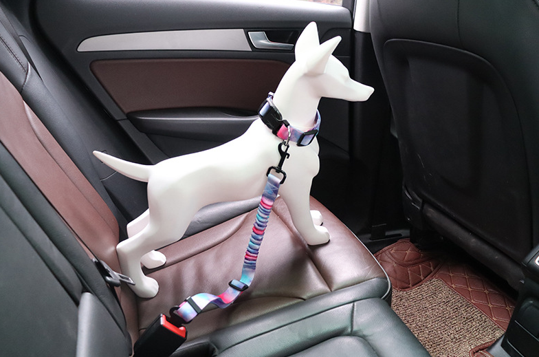 Bianmu Dog Walking Rope