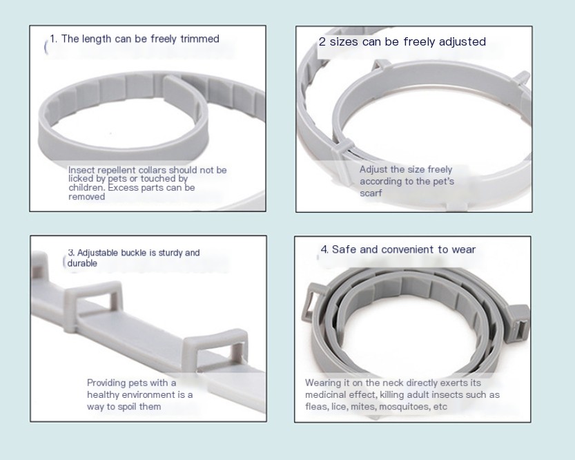 Cat Collar Image 2