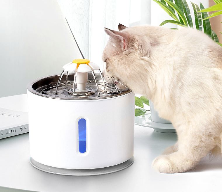 Pet Water Dispenser
