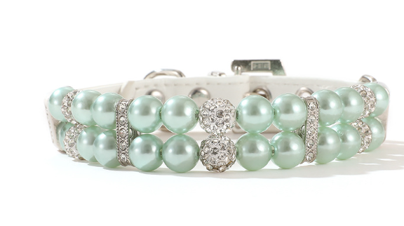 Pet Collar 6
