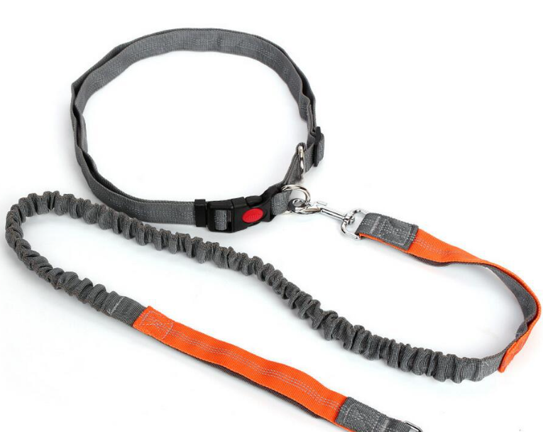 Traction Leash Image 1