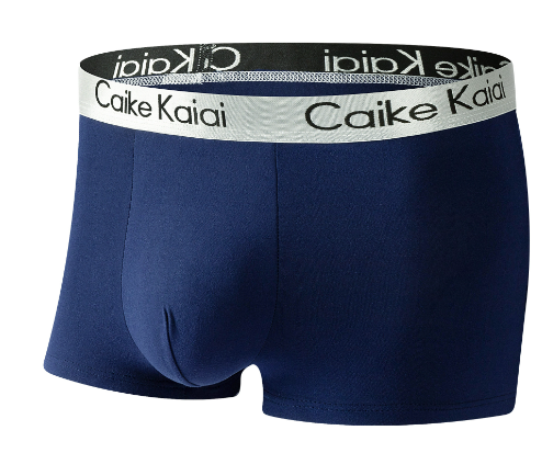 [BUY 5 GET 10] Set of 10 Tommy H. Briefs image