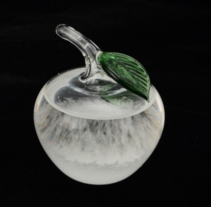 Flat Bird Weather Bottle