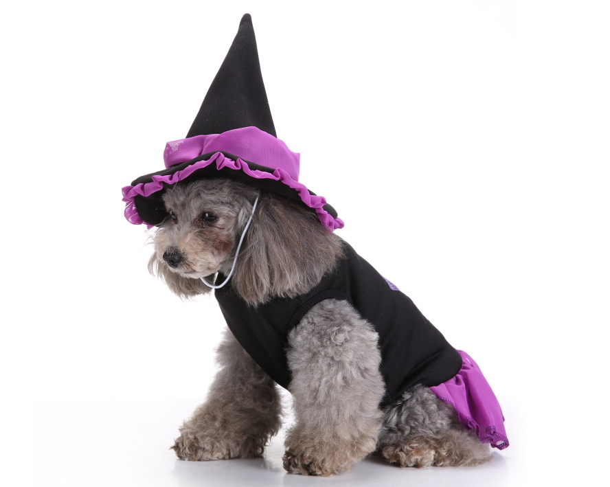 Costume Image 3