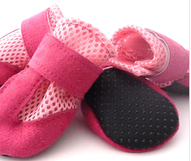 Pet Shoes Image 5