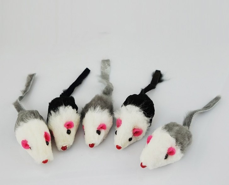 Cat Toy Set Image 3