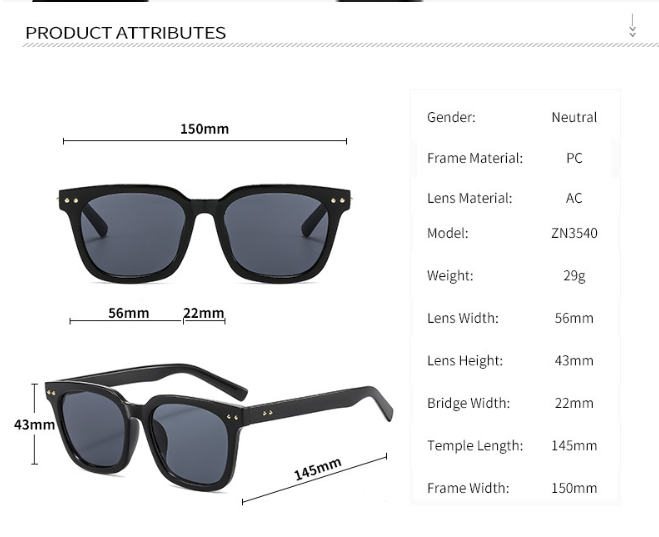 Sunglasses Color 1
