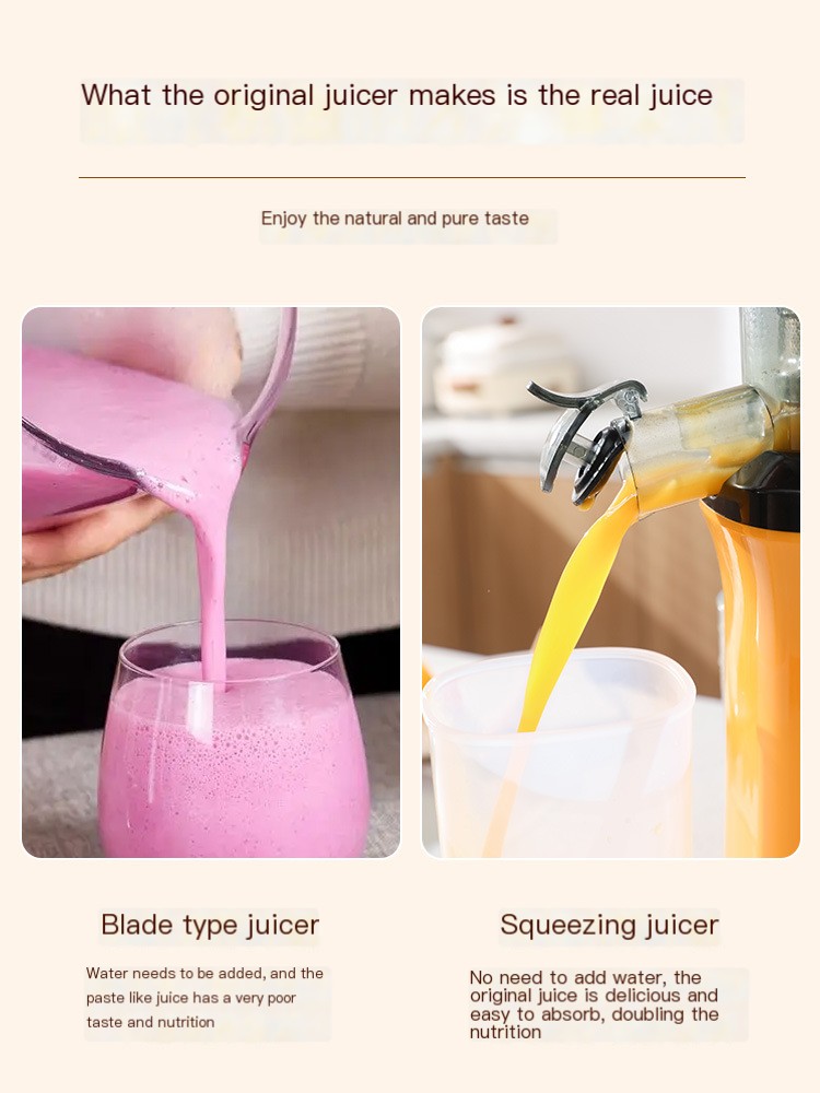 Juicer Image 6