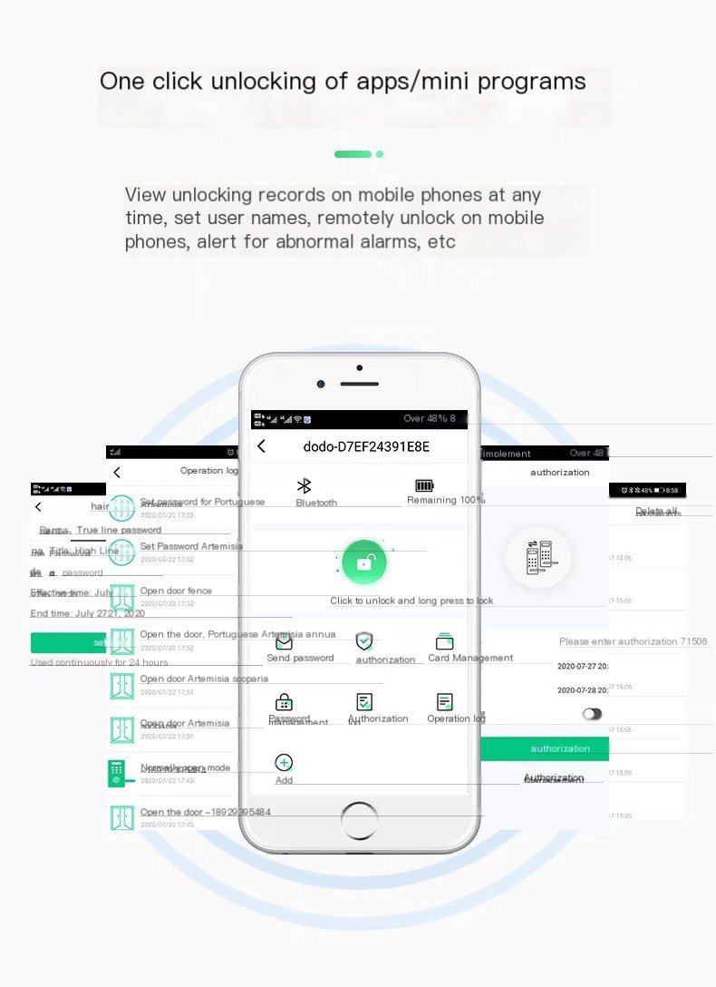 Graffiti WIFI Home Security Door Password Fingerprint Lock Apartment Homestay Remote Management All Lock TTLOCK Door Lock