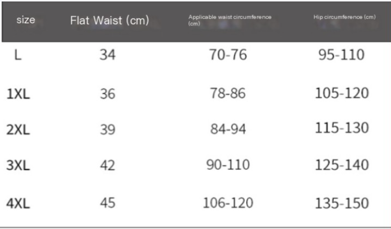 Plus Size Women's Briefs