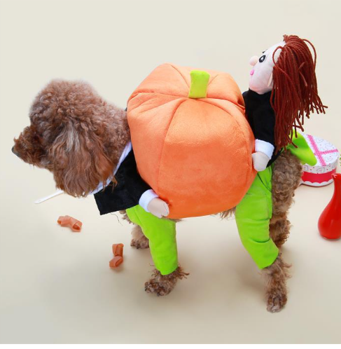Santa Claus gift box turned into a pet suit
