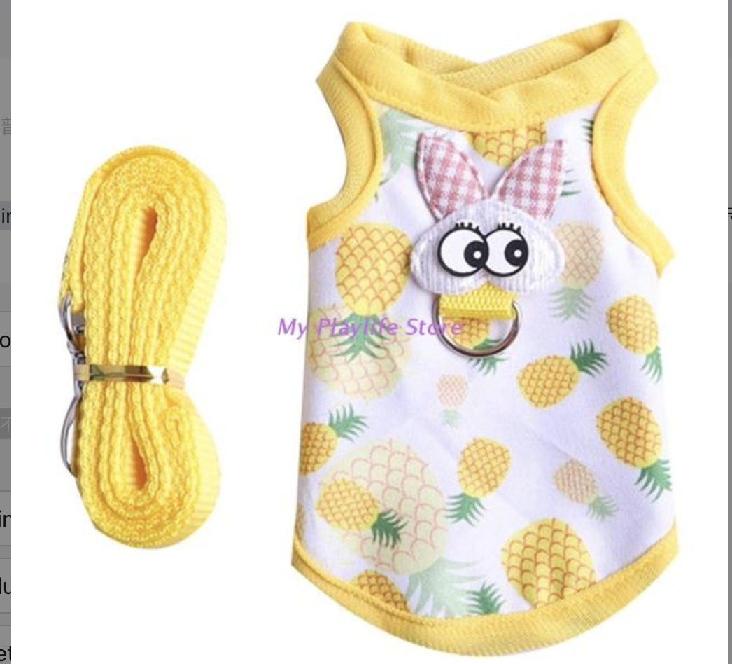 Guinea Pig Harness and Leash 1