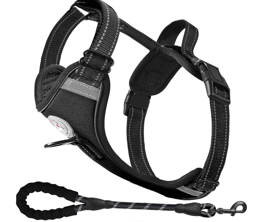 Dog Harness Image 2