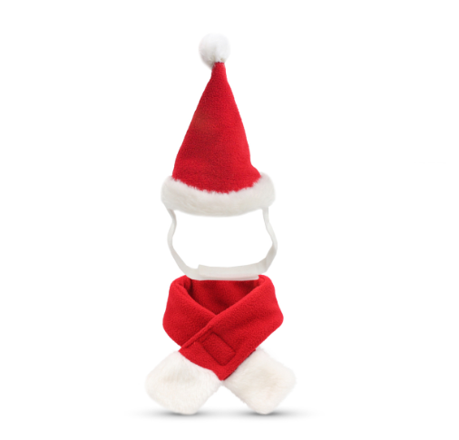 Pet in Christmas Hat