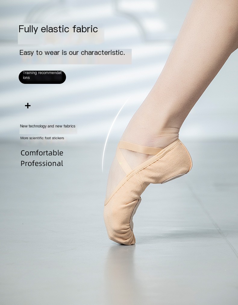 Ballet Shoes Image