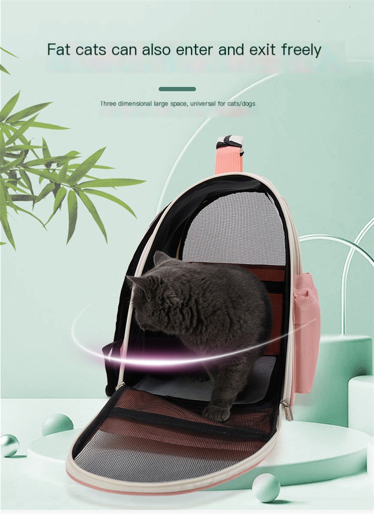 Cat Backpack 3