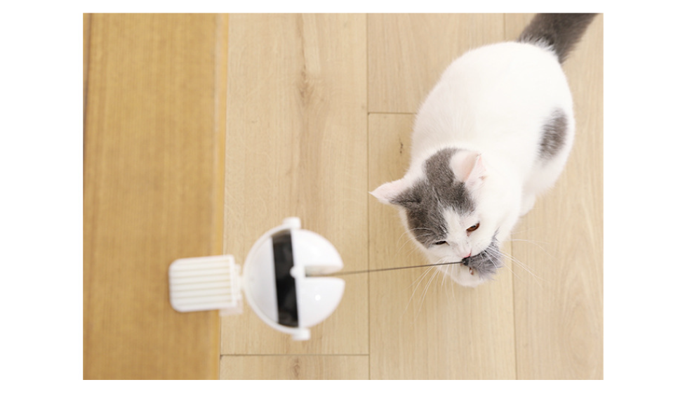 Lifting Ball Cat Toy Variation