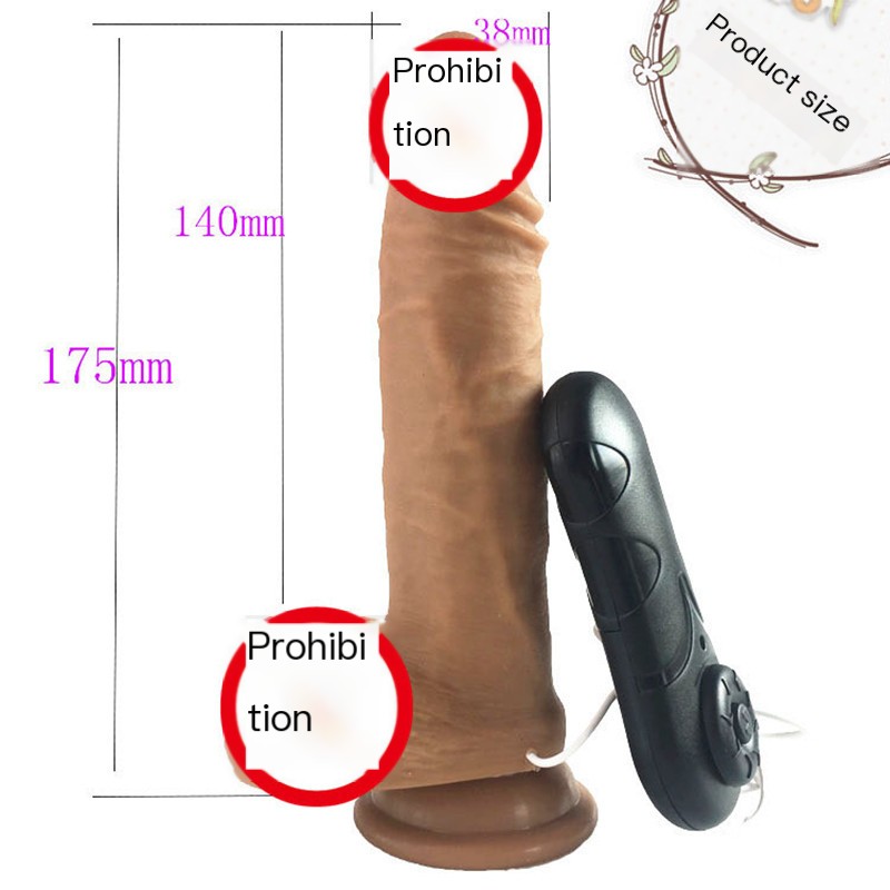 Vibrator Image 1