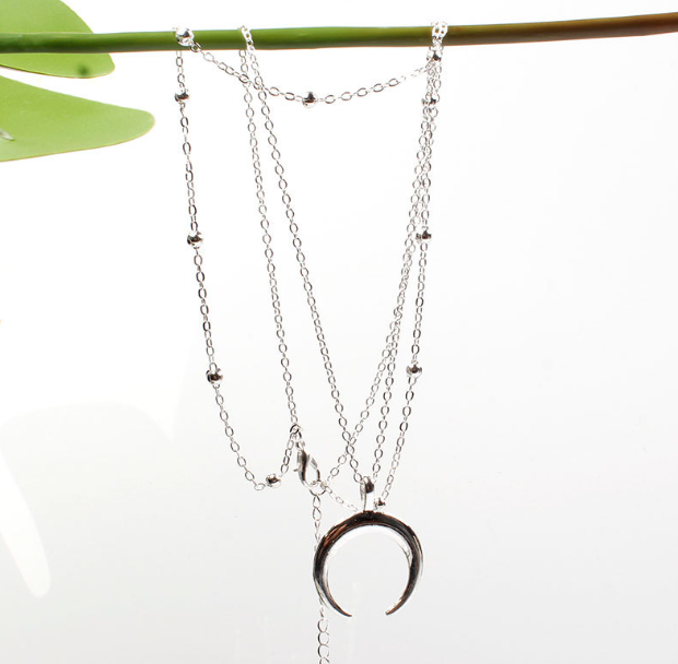 Bohemian Double Horn Necklace Image 4