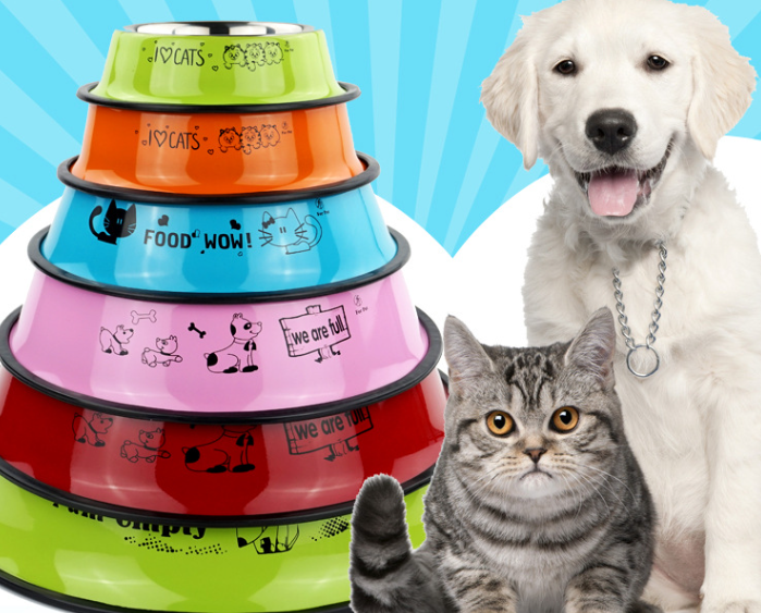 Colorful Dog Bowl 3