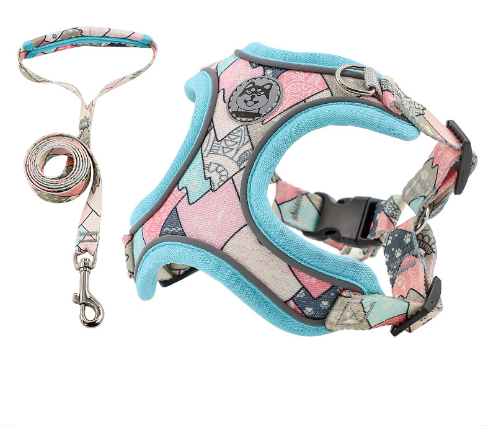 Extreme Pets Leash Set