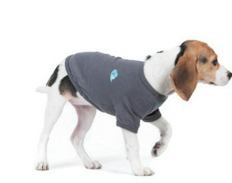 Pet Vest in Gray