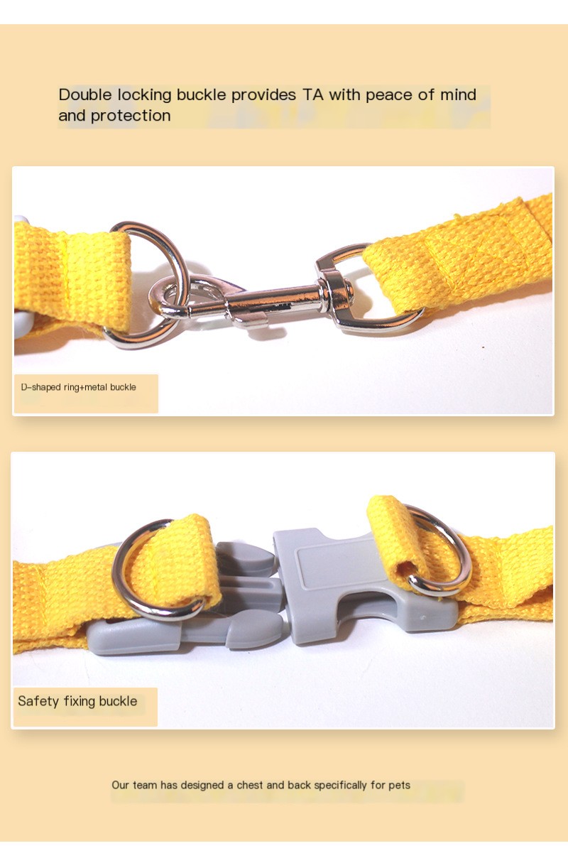 Pet Leash Features
