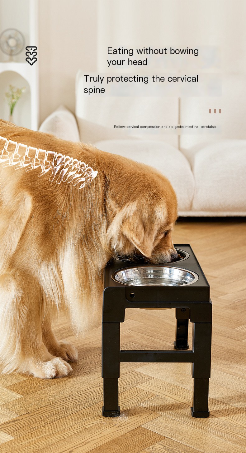 Pet Elevated Bowl Image 3