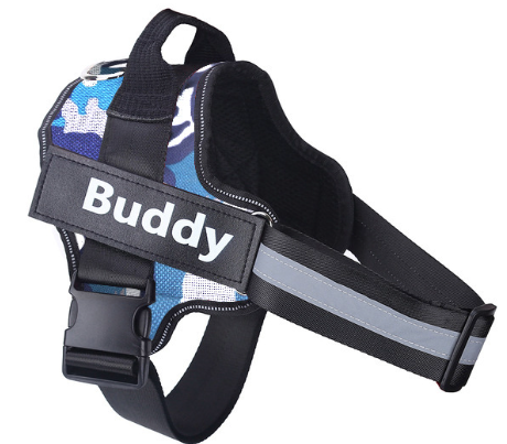 Personalized Dog Harness - Close Up