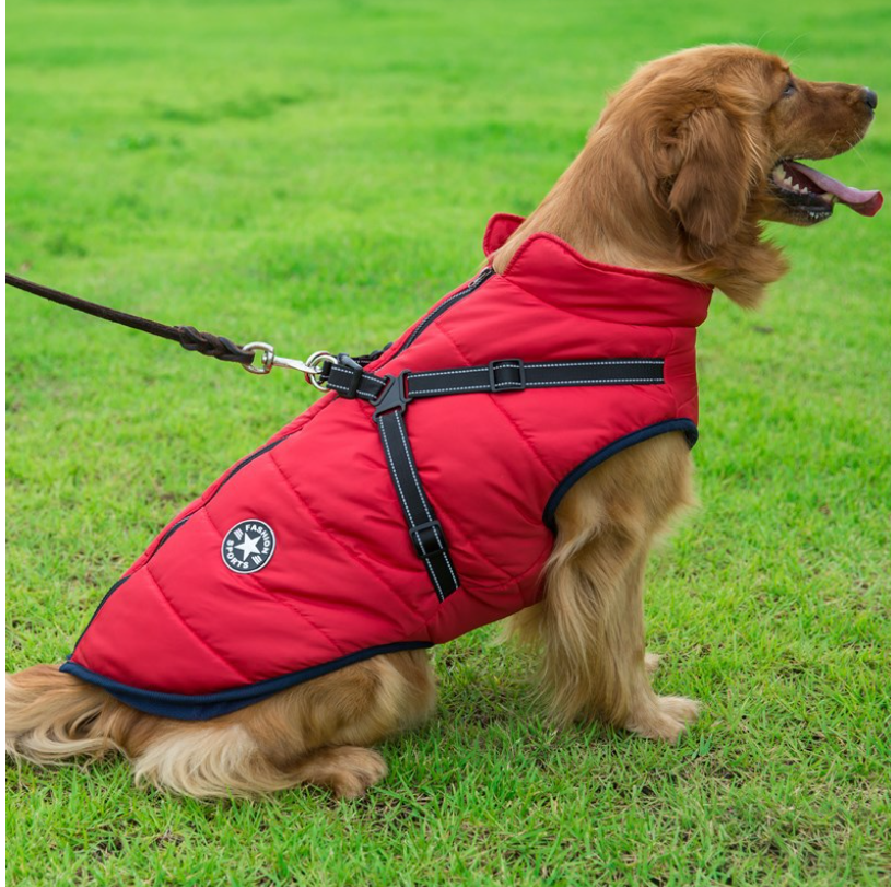 Dog Jacket Blue