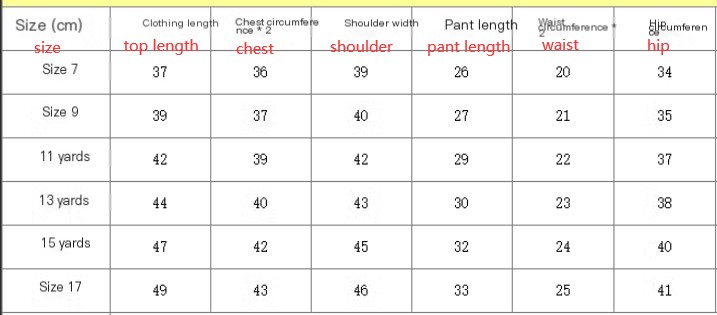 Girls Short Sleeve Shorts Set