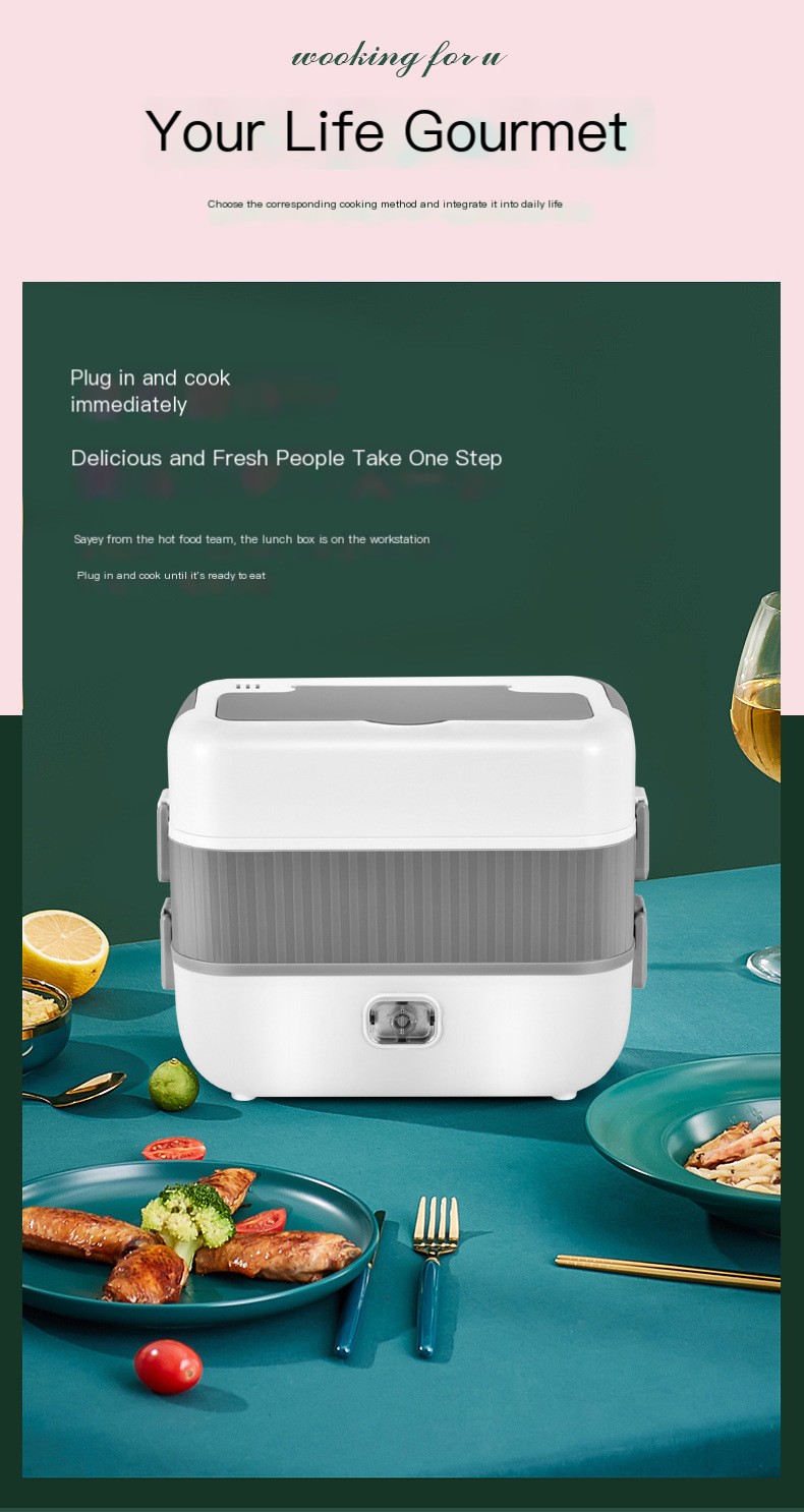 Electric Lunch Box Specifications