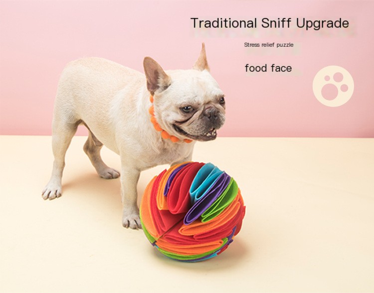 Sniffing Ball Mat Image 7