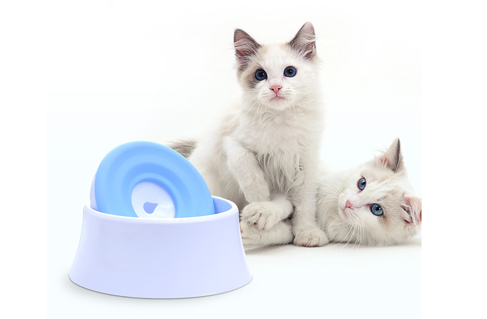 Pink Pet Bowl