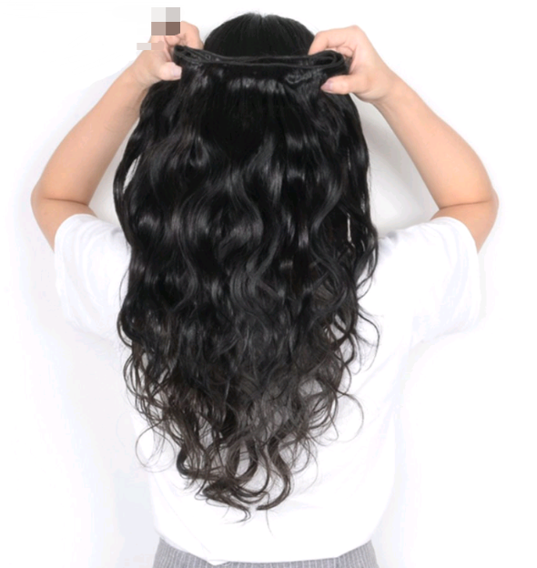 Human Hair Wig 2