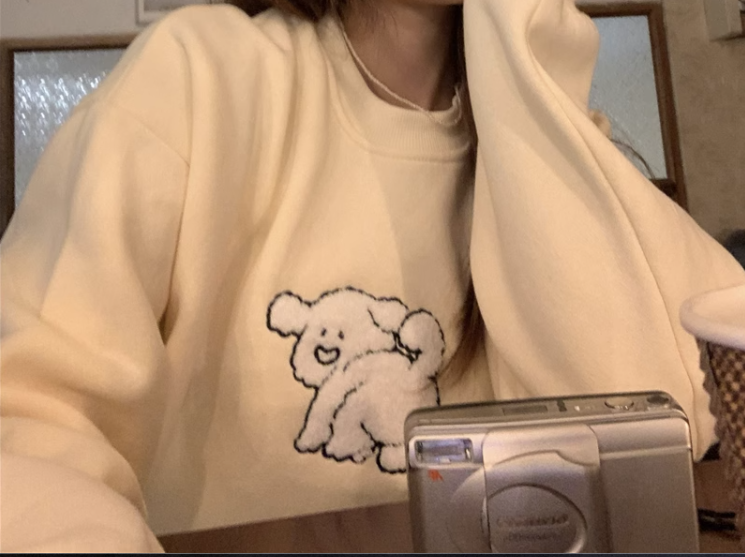 Polar fleece sweater