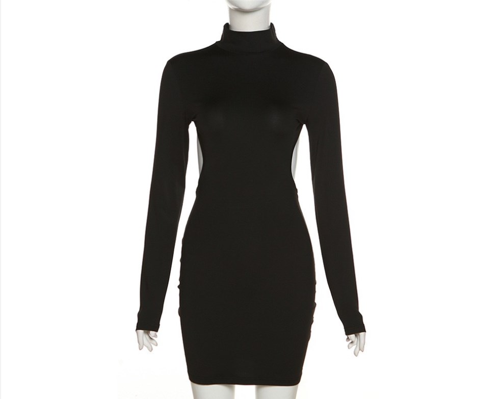Elegant Long Sleeve Dress