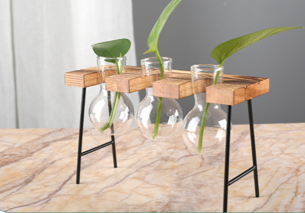 Creative Wooden Frame Glass Hydroponics