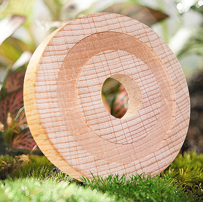 Beech Wood Chips 2