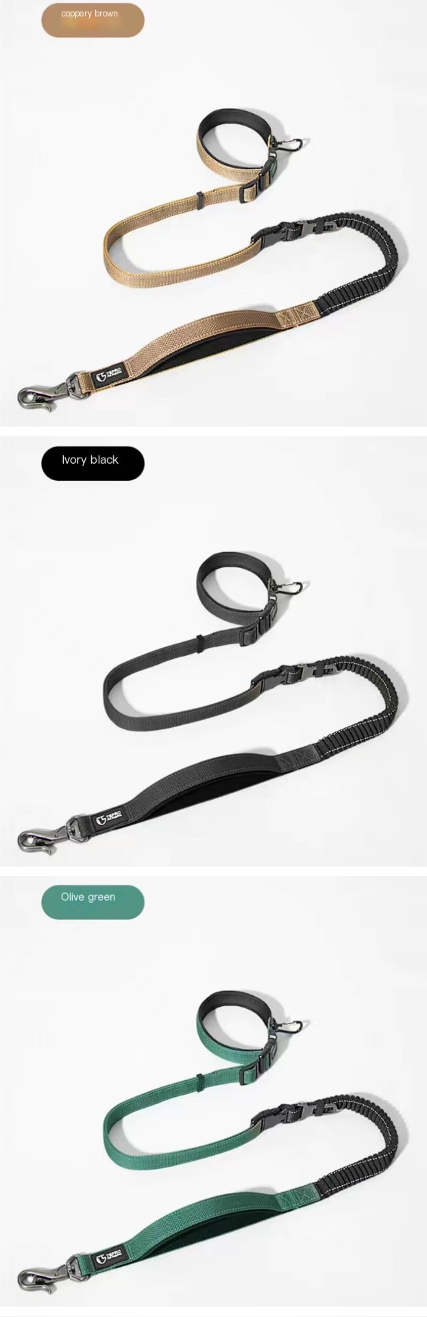 Dog Leash Lifestyle
