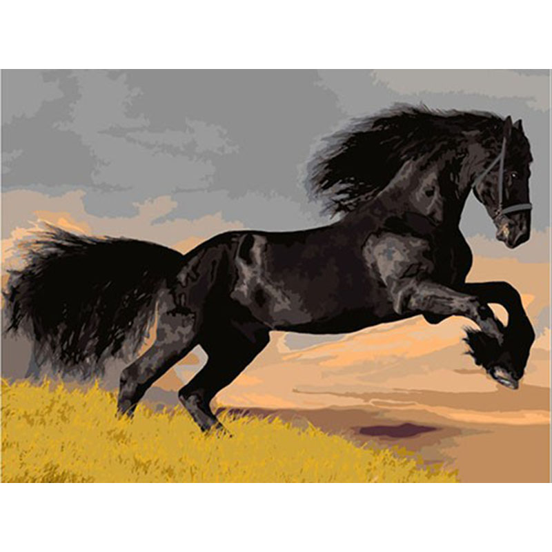 Black Steed Oil Painting