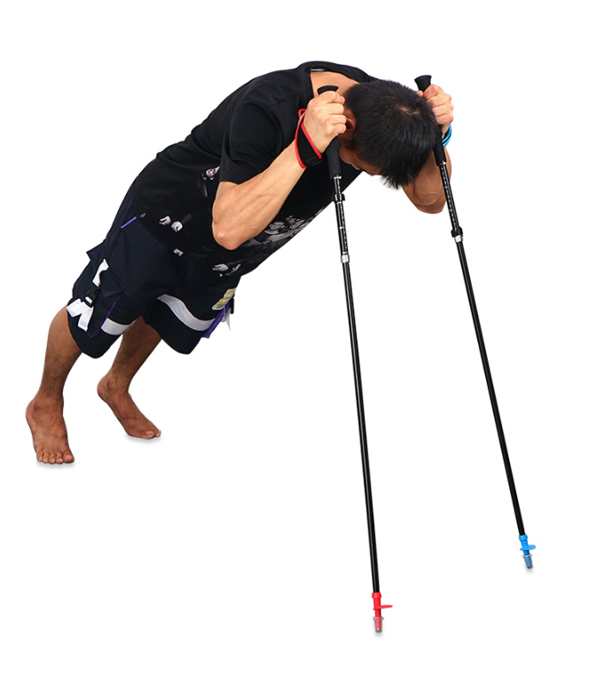 Trekking Pole Image 1