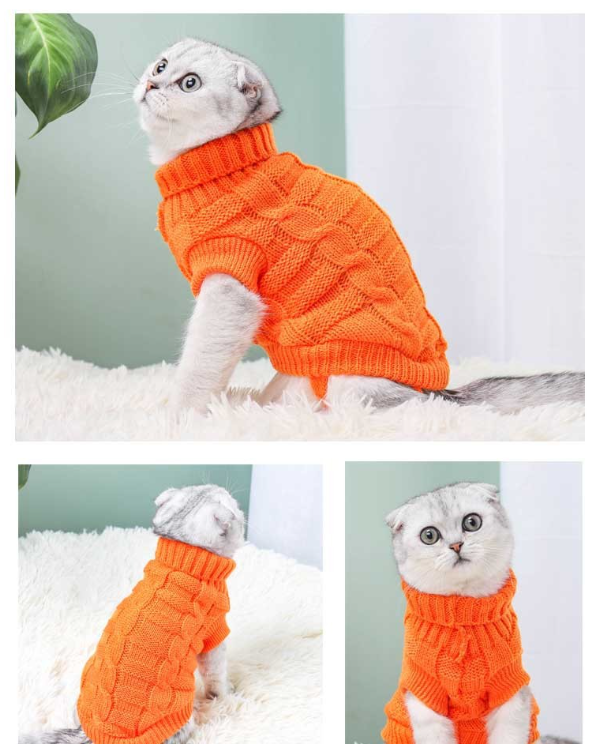 Milk Sweater Teddy Pet Clothing 3